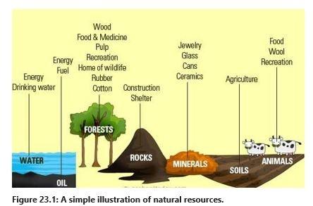 12.8	Natural resources on the beef cattle farm