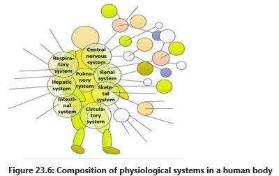 Composition of physiological systems in a human body