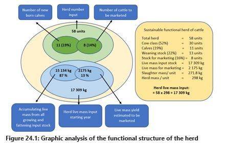 12.9	Beef record keeping