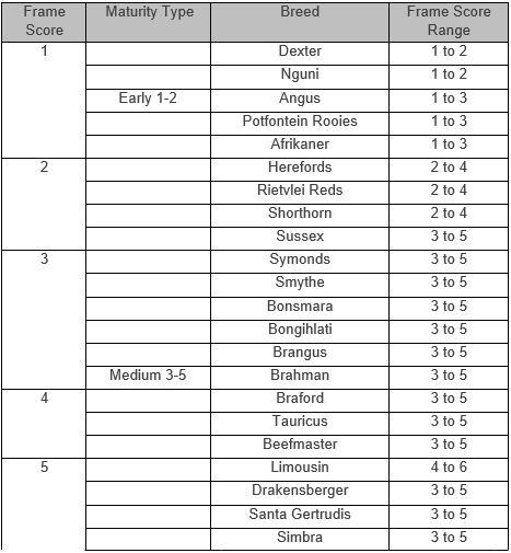 9.5 Types of cattle in a feedlot system