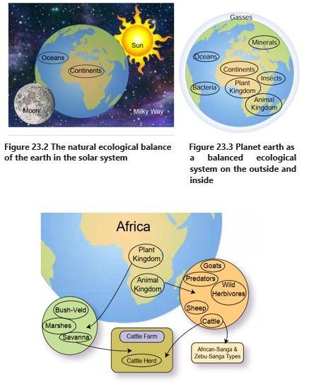 universe to microbes